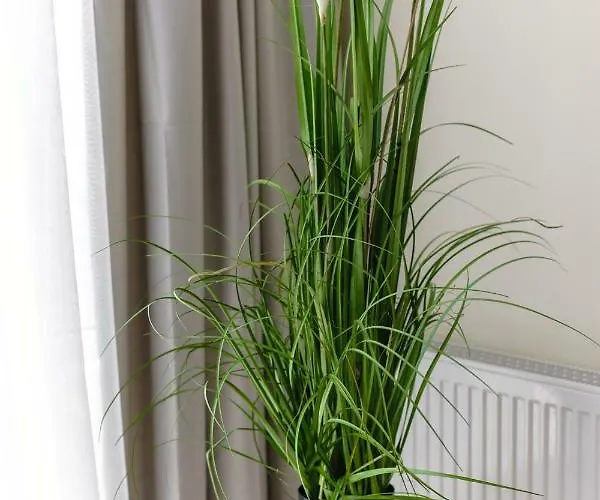 Apartman Odessarooms Sea View *